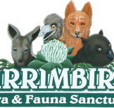 Wirrimbirra Sanctuary - Attractions Brisbane
