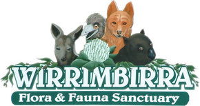 Wirrimbirra Sanctuary - Attractions Brisbane 0