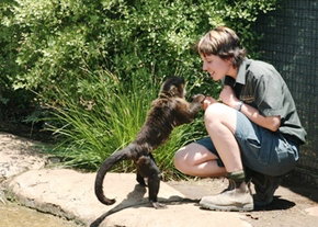 National Zoo & Aquarium - Attractions Brisbane 1
