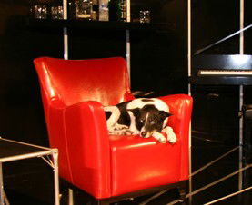 Woolloomooloo NSW Attractions Brisbane