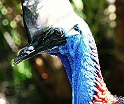 Taigum QLD Attractions Brisbane