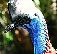 Alma Park Zoo - Attractions Brisbane