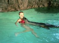 Underwater World - Attractions Brisbane 2