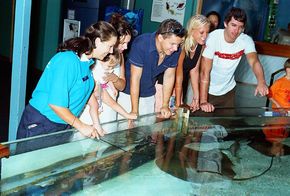 Underwater World - Attractions Brisbane 3