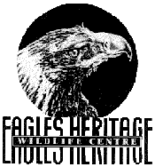 Eagles Heritage - Attractions Brisbane 0