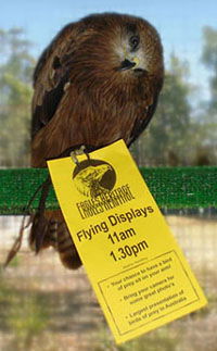 Eagles Heritage - Attractions Brisbane 1