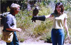 Eagles Heritage - Attractions Brisbane 2
