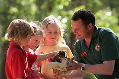  Attractions Brisbane
