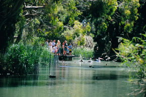 Cleland Wildlife Park - Attractions Brisbane 1