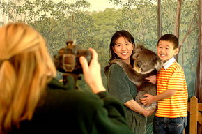 Cleland Wildlife Park - Attractions Brisbane 2
