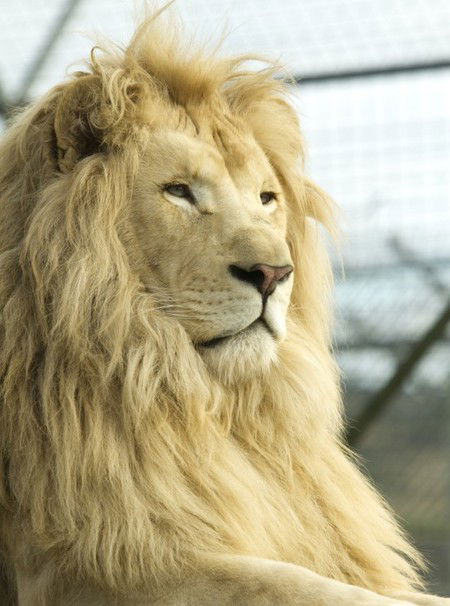 Zoo Doo Wildlife Park - Attractions Brisbane 3