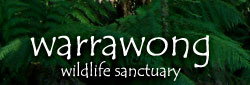 Warrawong Wildlife Park - Attractions Brisbane 0