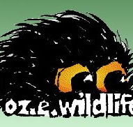 OZe Wildlife - Attractions Brisbane