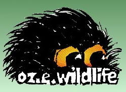 OZe Wildlife - Attractions Brisbane 0