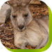  Attractions Brisbane