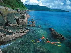 Llewellyn Dive Site - Attractions Brisbane 0