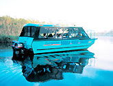Noosa Everglades Discovery - Attractions Brisbane 1