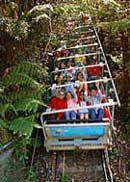 Scenic World Blue Mountains - Attractions Brisbane 2