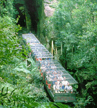 Scenic World Blue Mountains - Attractions Brisbane 3