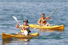 Manly Kayaks - Attractions Brisbane 0