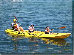 Manly Kayaks - Attractions Brisbane 3