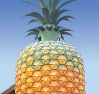 The Big Pineapple - Attractions Brisbane