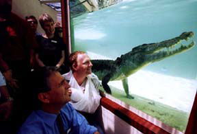 Alice Springs Reptile Centre - Attractions Brisbane 1