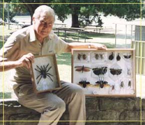 Butterfly Farm - Attractions Brisbane 1