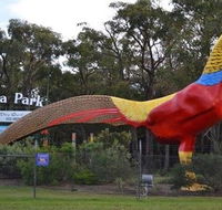 Gumbuya Park - Attractions Brisbane