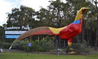 Gumbuya Park