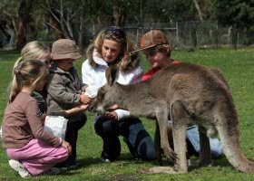 Gumbuya Park - Attractions Brisbane 1