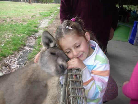 Gumbuya Park - Attractions Brisbane 3