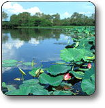 Kakadu National Park - Attractions Brisbane 3