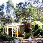 Koala Conservation Centre - Attractions Brisbane 1