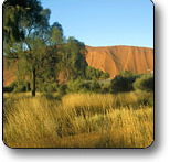 Uluru - Kata Tjuta National Park - Attractions Brisbane