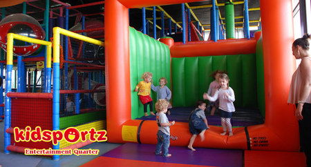 Cool Cats - Attractions Brisbane 1