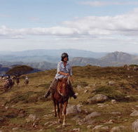 High Country Horses - Attractions Brisbane