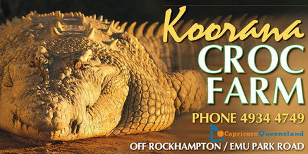 Koorana Saltwater Crocodile Farm - Attractions Brisbane 0