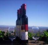 Mount Tamborine Winery  Homestead - Attractions Brisbane