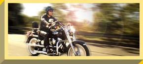 Easy Rider - Attractions Brisbane 1