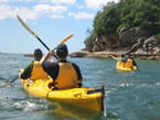 Sydney Harbour Kayaks - Attractions Brisbane 1