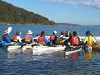 Sydney Harbour Kayaks - Attractions Brisbane 2