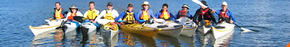 Sydney Harbour Kayaks - Attractions Brisbane 3