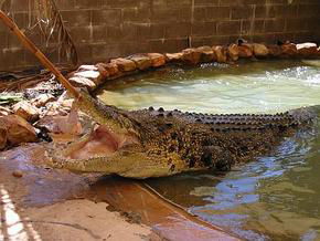  Attractions Brisbane