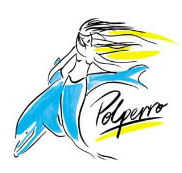 Polperro Dolphin Swims - Attractions Brisbane