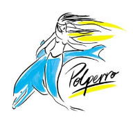 Polperro Dolphin Swims - Attractions Brisbane 0