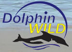 Dolphin Wild - Attractions Brisbane 0
