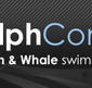 Dolphcom - Dolphin  Whale Swimming Adventures - Attractions Brisbane