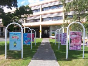 Cadbury Chocolate Factory Tour - Attractions Brisbane 2