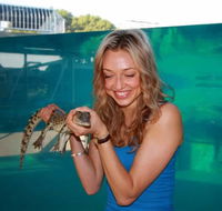 Crocosaurus Cove - Attractions Brisbane